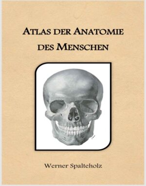 Wolf-Heidegger's Atlas of Human Anatomy: Latin Nomenclature Systemic Anatomy
